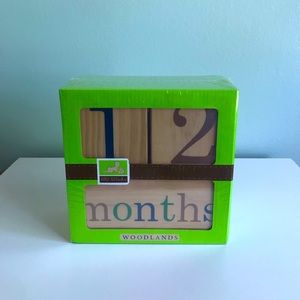 BB Blocks Baby Age Photo Blocks Woodlands